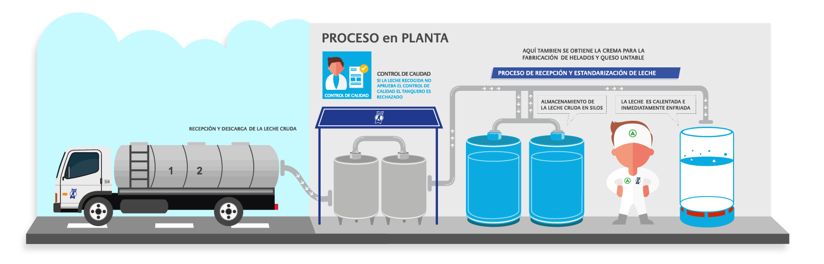 Infografías 5