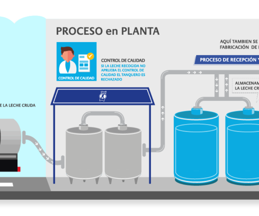 Infografías 5